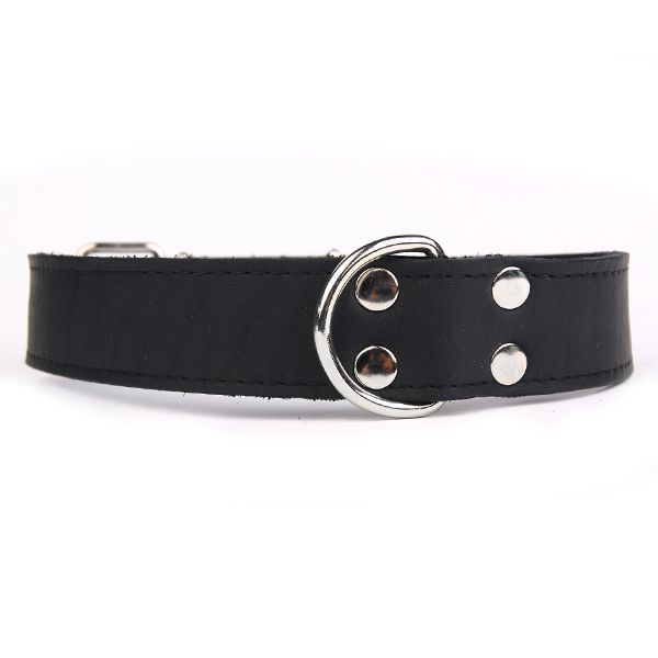 Kožni ovratnik Exclusive Silver, crni 4 cm x 52 - 67 cm