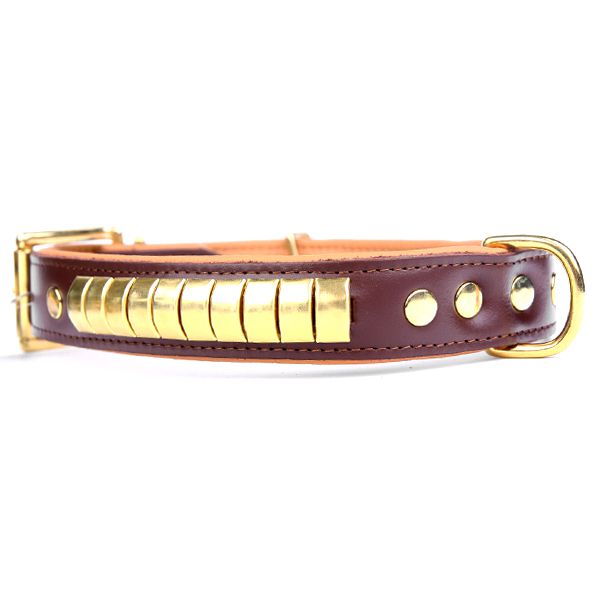 Kožni ovratnik Gold, smeđi - bež 3,5 cm x 52 - 61 cm