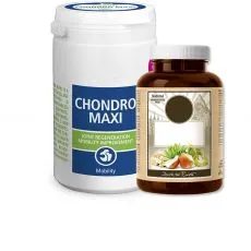  Vitamini za pse