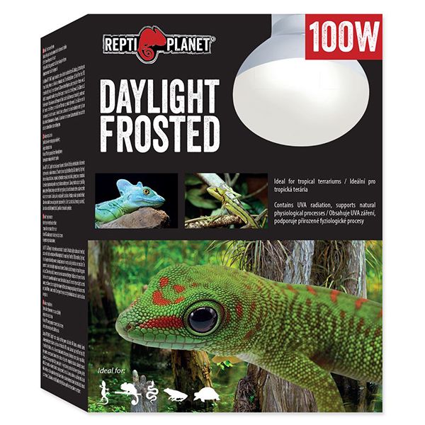 Žarulja REPTI PLANET Daylight Frosted 100W