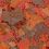 Ocean Nutrition Brine Shrimp Plus Flake 71g