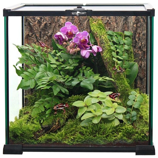 RP Stakleni terarij 20 x 20 x 20 cm