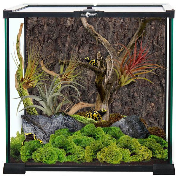 RP Stakleni terarij 30 x 30 x 30 cm