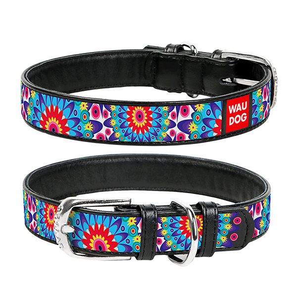 Kožni ovratnik WAUDOG Flowers - crni 2,5 cm x 38 - 49 cm