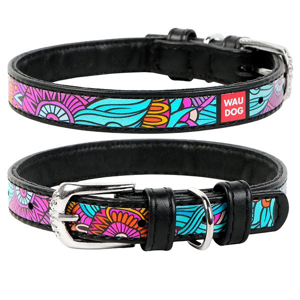 Kožni ovratnik WAUDOG Summer - crni 2,5 cm x 38 - 49 cm