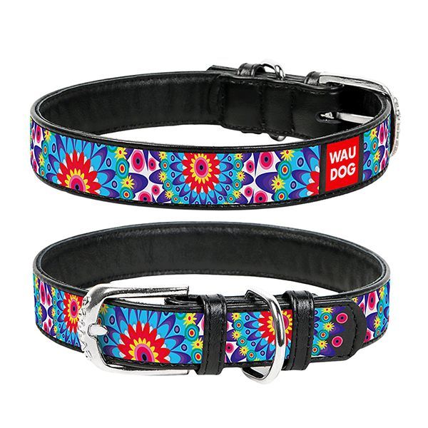 Kožni ovratnik WAUDOG Flowers - crni 3,5 cm x 46 - 60 cm