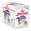 Royal Canin Sterilised Jelly konzerva za sterilizirane mačke u želeu 12 x 85 g