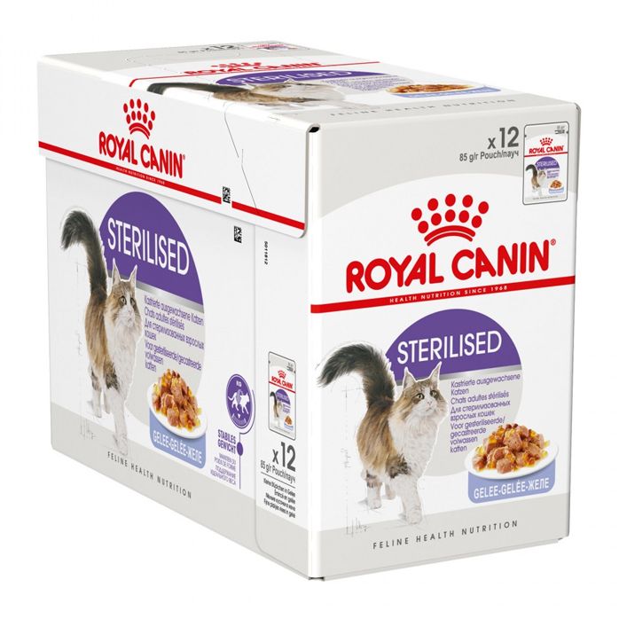 Royal Canin Sterilised Jelly konzerva za sterilizirane mačke u želeu 12 x 85 g