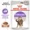 Royal Canin Sterilised Gravy konzerva za sterilizirane mačke u umaku 12 x 85 g
