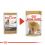 ROYAL CANIN Yorkshire Loaf konzerva s paštetom za jorkširskog terijera 12 x 85 g