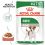 Royal Canin Mini Adult mokra hrana za odrasle male pse 12 x 85 g