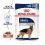 Royal Canin Maxi Adult konzerva za odrasle velike pse 10 x 140 g