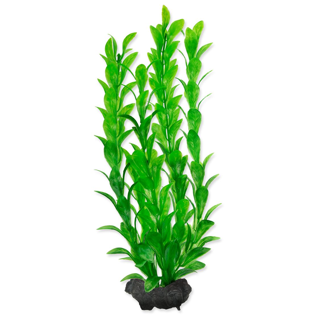 TETRA Biljka Hygrophila M 23 cm