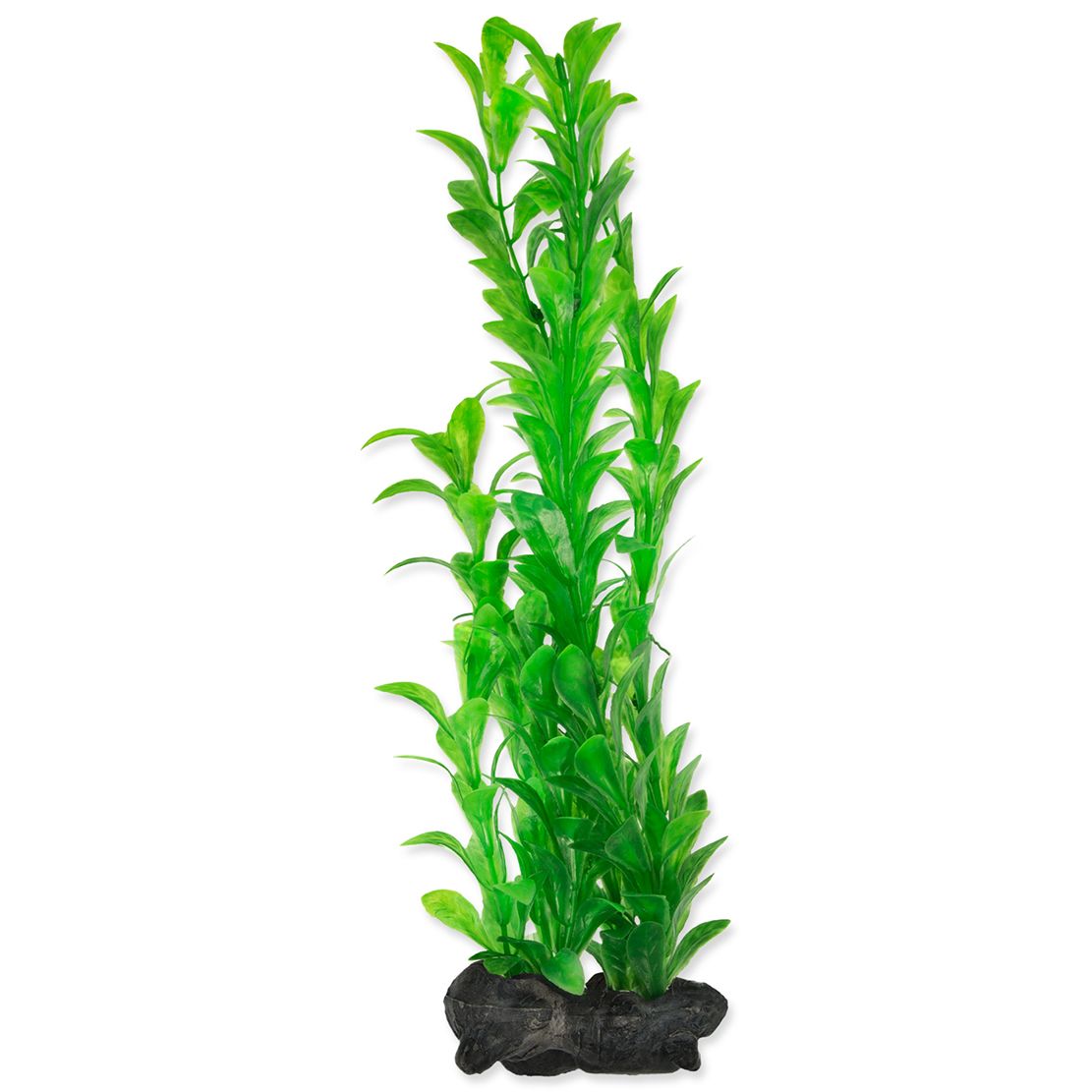 TETRA Biljka Hygrophila L 30 cm