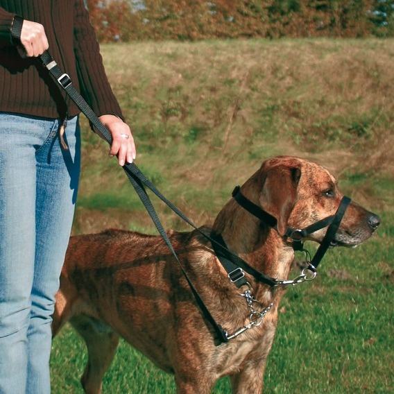 Pojase za psa za trening - ovratnik S, 22 cm