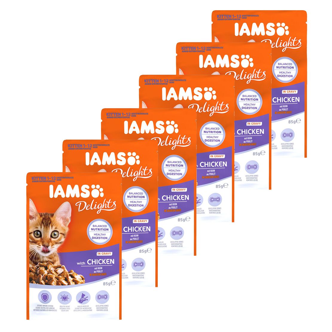 Iams Kitten chicken 6 x 85 g