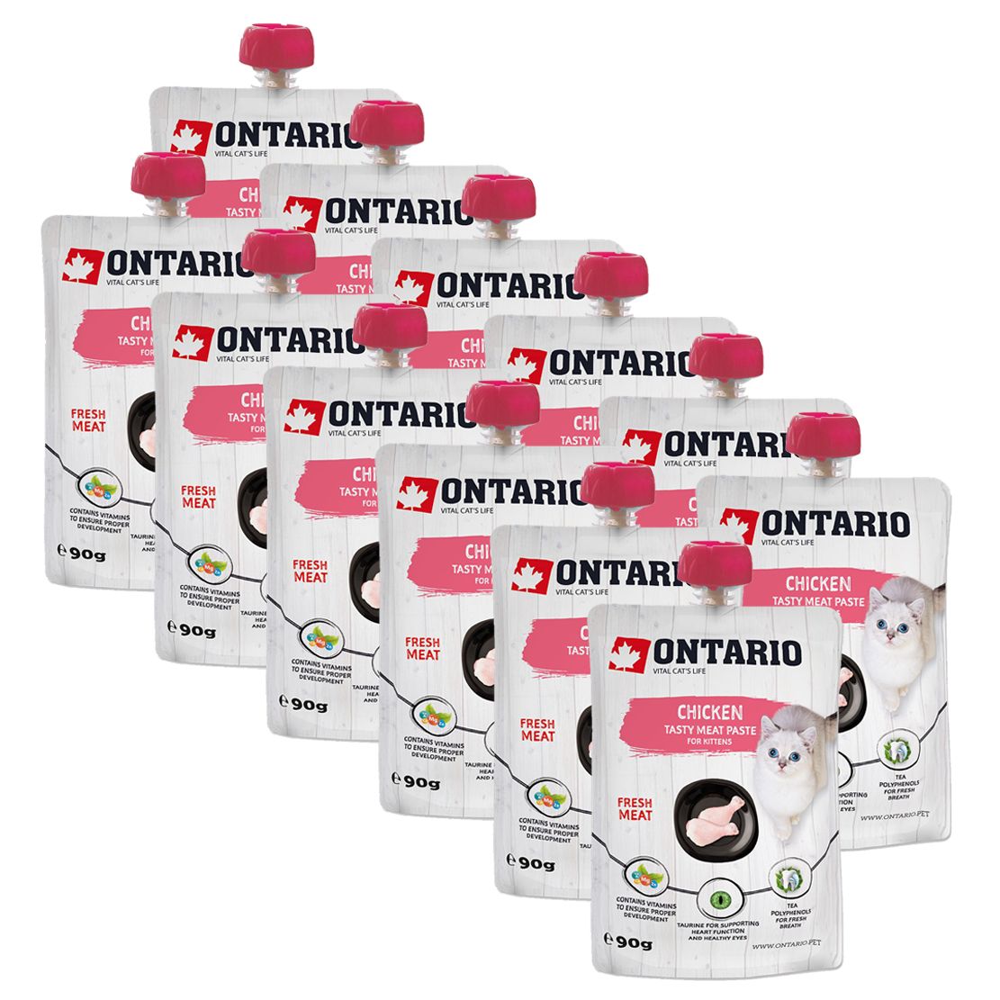 Ontario Kitten chicken fresh meat paste 12 x 90 g