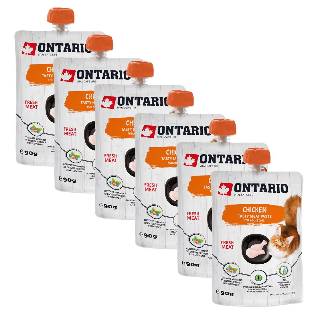Ontario Cat chicken tasty meat paste 6 x 90 g
