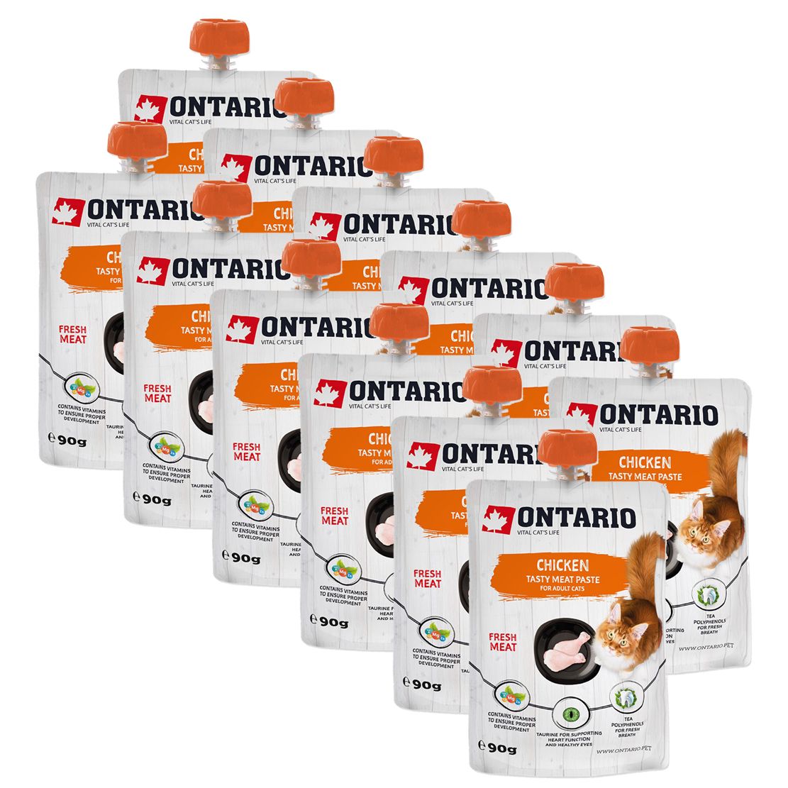 Ontario Cat chicken tasty meat paste 12 x 90 g
