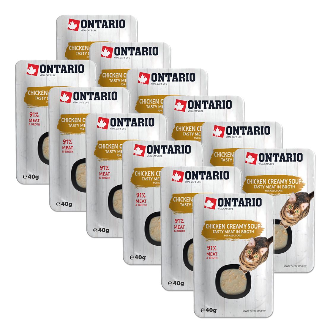 Ontario Cat chicken creamy soup 12 x 40 g