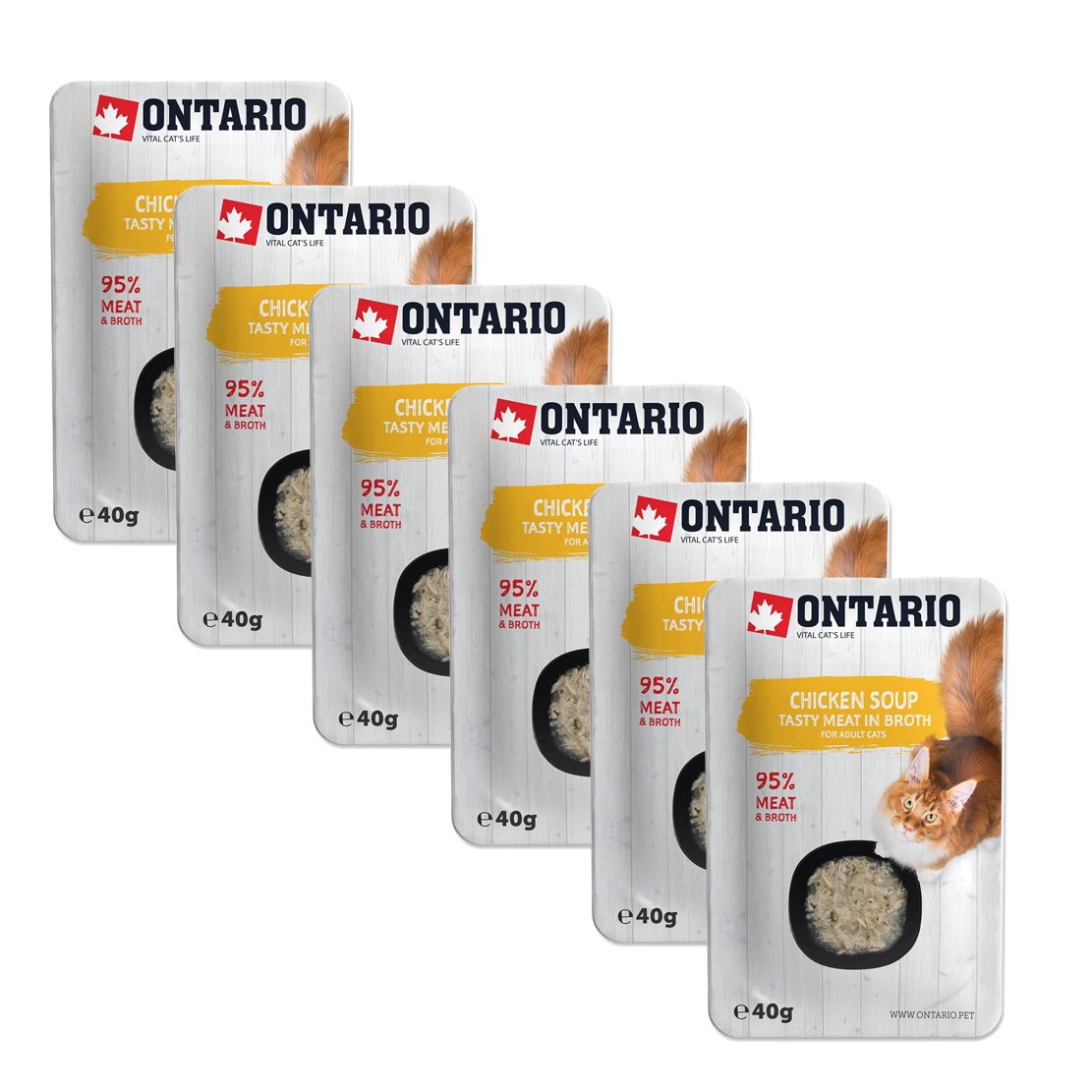 Ontario Cat chicken soup 6 x 40 g