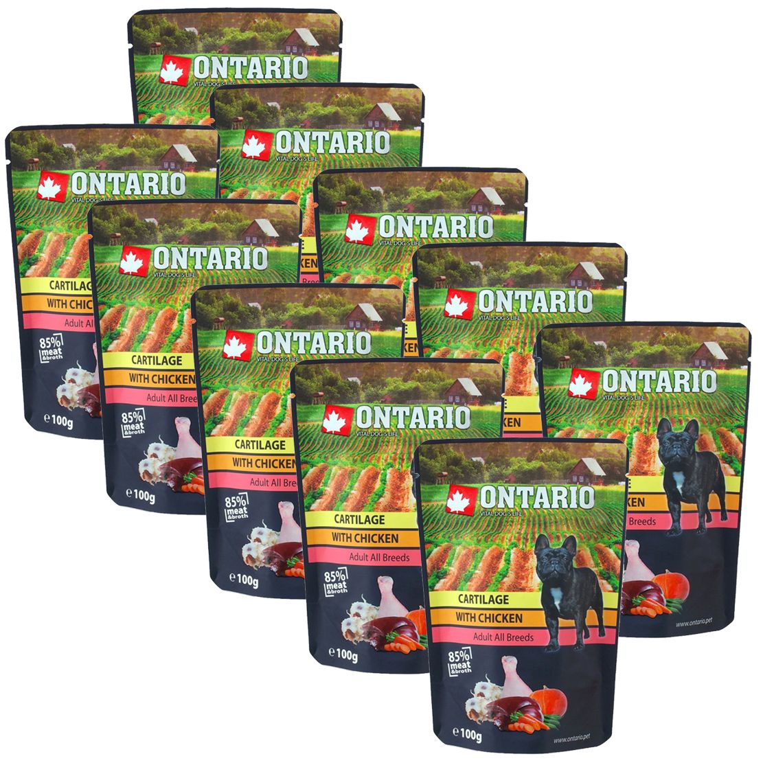 Vrećica ONTARIO DOG Cartilage with Chicken u juhi 10 x 100 g