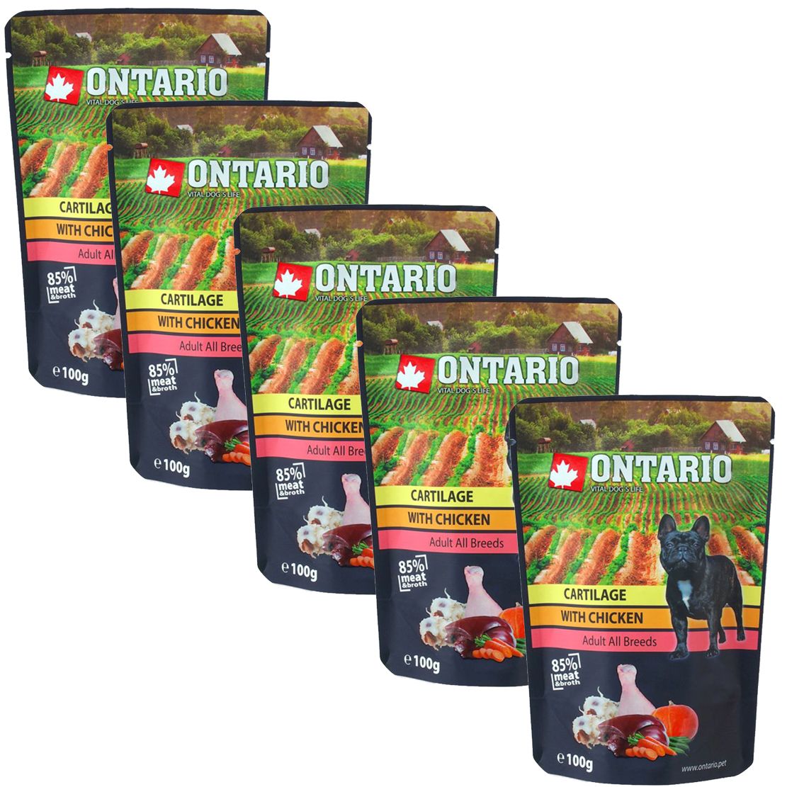 Vrećica ONTARIO DOG Cartilage with Chicken u juhi 5 x 100 g