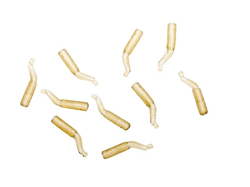 Extra Carp Line Aligner