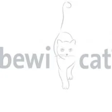  BEWI CAT