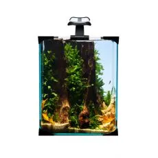 DIVERSA NanoLED SET 10