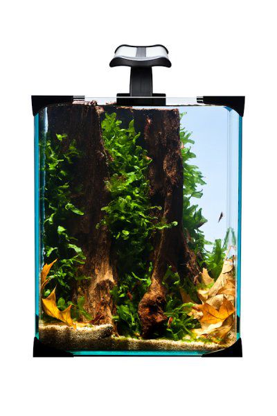 DIVERSA NanoLED SET 10