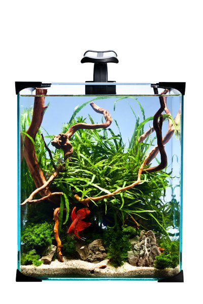 Diversa NanoLED SET 20