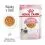 Royal Canin Kitten Instinctive Jelly konzerva za mačiće u želeu 12 x 85 g