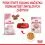 Royal Canin Kitten Instinctive Jelly konzerva za mačiće u želeu 12 x 85 g
