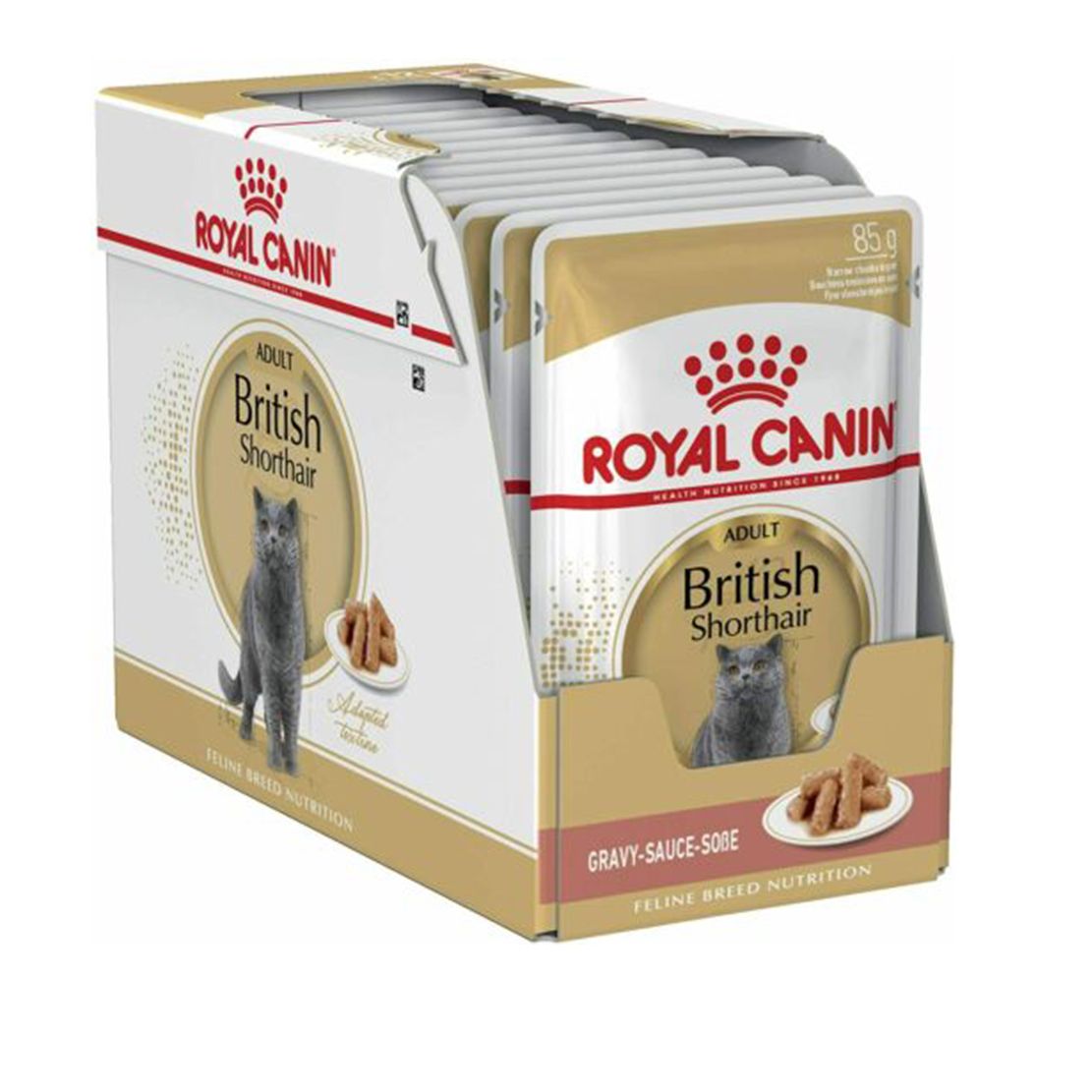 Royal Canin British Shorthair konzerva za britanske kratkodlake mačke u umaku 12 x 85 g