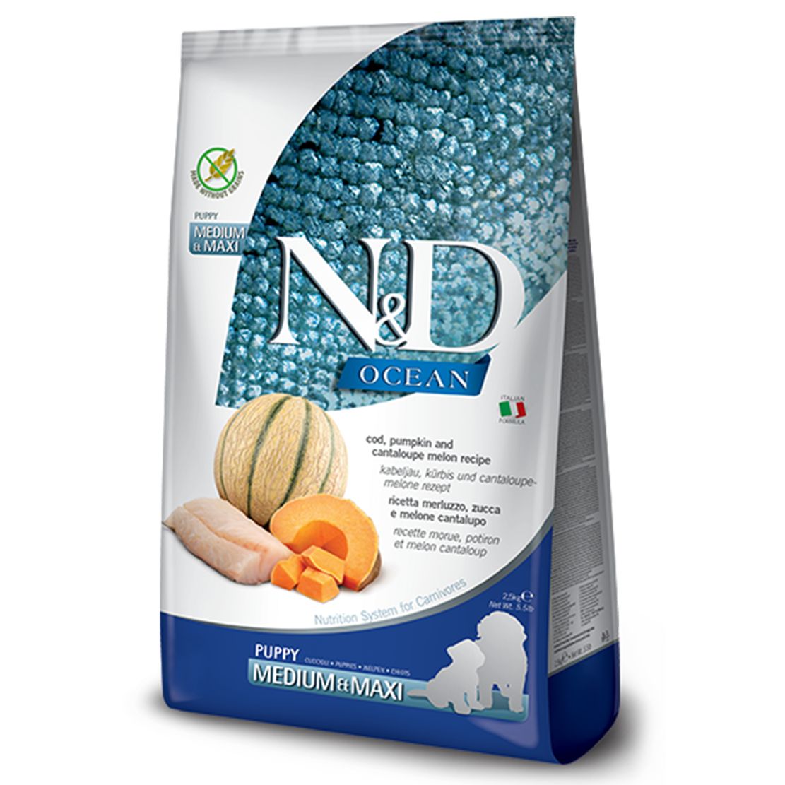 Farmina N&D dog OCEAN PUMPKIN (GF) puppy medium & maxi, cod & cantaloupe melon 12 kg