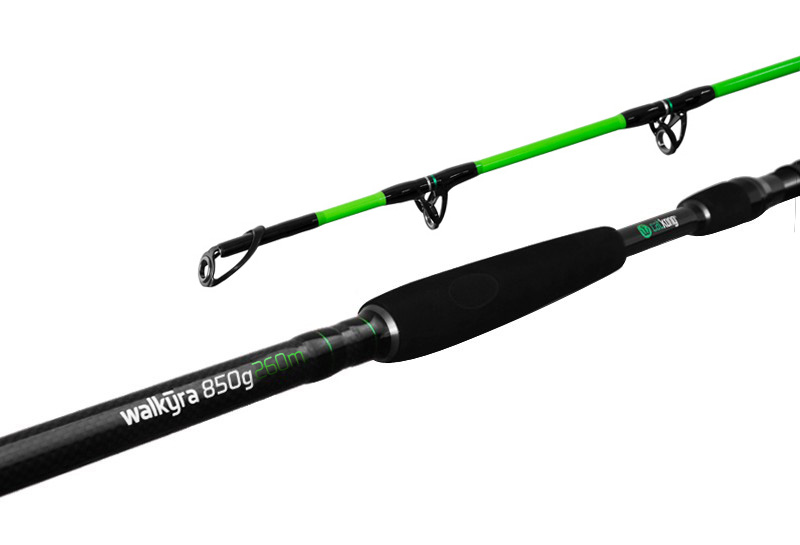 Delphin Catkong WALKYRA 260cm/850g