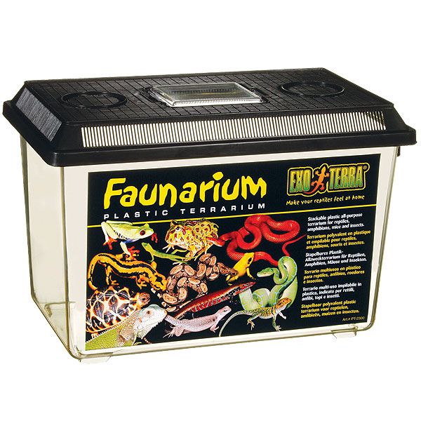 Faunarium - prijenosna plastična kutija 370 x 220 x 250 mm