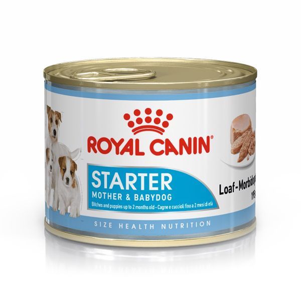 Royal Canin Starter Mousse konzerva za gravidne ili dojeće kuje i štenad 195 g