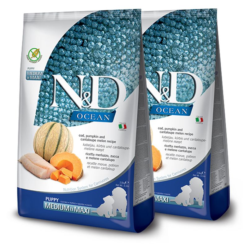 Farmina N&D dog OCEAN PUMPKIN (GF) puppy medium & maxi, cod & cantaloupe melon 2 x 12 kg