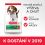 Hill's Science Plan Canine Puppy Medium Janjetina i Riža 18kg