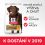 Hill's Science Plan Zdrava Mobilnost za velike odrasle pse s piletinom 14 kg