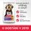 Hill's Science Plan Sensitive Stomach & Skin za male odrasle pse 6 kg