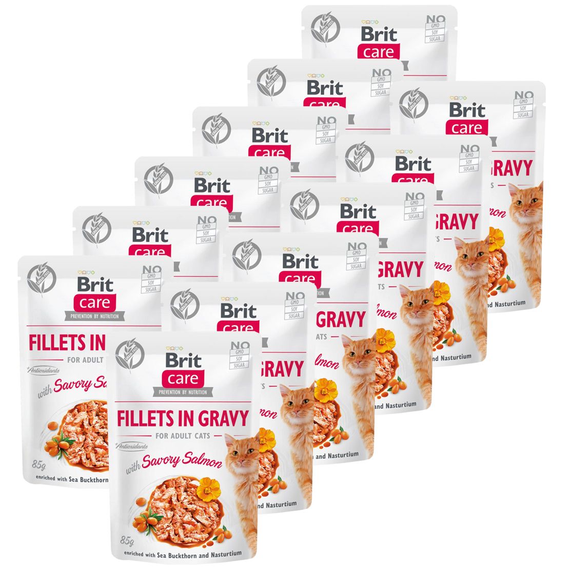 Brit Care Cat Fillets in Gravy Savory Salmon 12 x 85 g