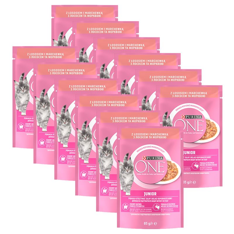PURINA ONE JUNIOR mini fileti s lososom i mrkvom u umaku 12 x 85 g