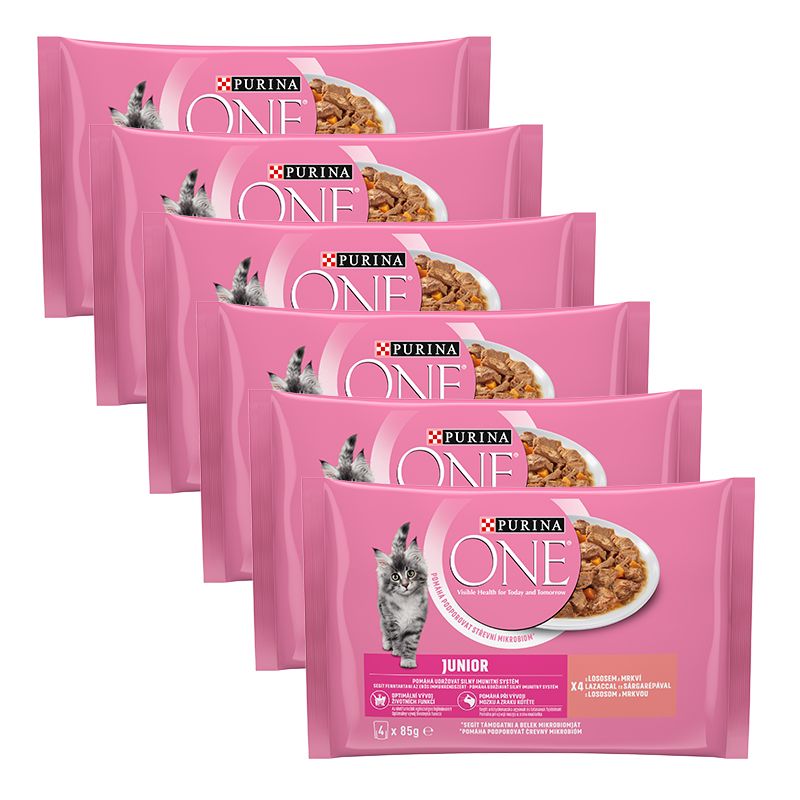 PURINA ONE JUNIOR multibalenie 24 x 85 g