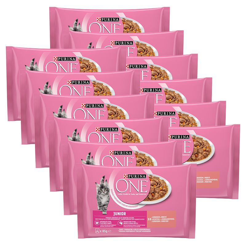 PURINA ONE JUNIOR multibalenie 48 x 85 g
