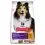 Hill's Science Plan Sensitive Stomach & Skin za odrasle pse s piletinom 2 x 14 kg