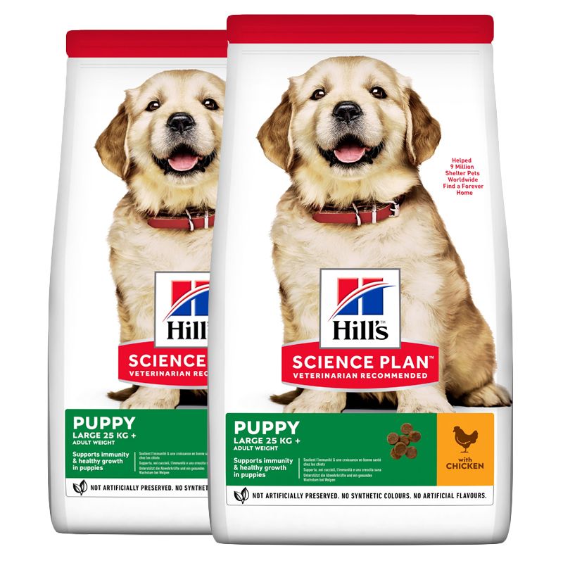 Hill's Science Plan Canine Puppy Large Breed Piletina 2 x 14,5kg