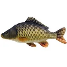 Dodaci